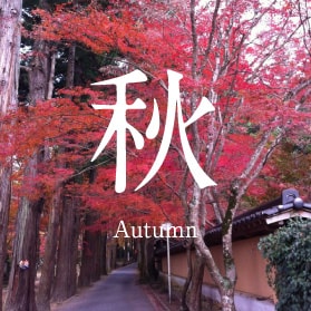 秋 Autumn