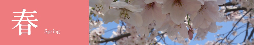 春 Spring