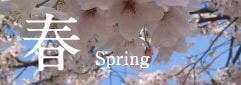 春 Spring
