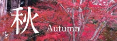 秋 Autumn