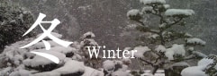 겨울 Winter